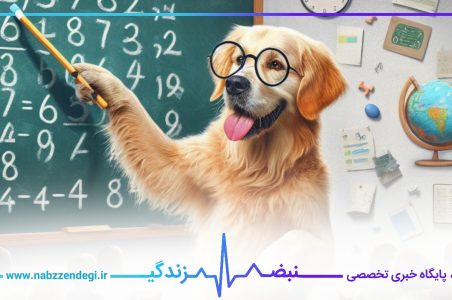 یک سگ که روی تخته سیاه عدد ریاضی نوشته