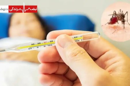 تب کریمه کنگو