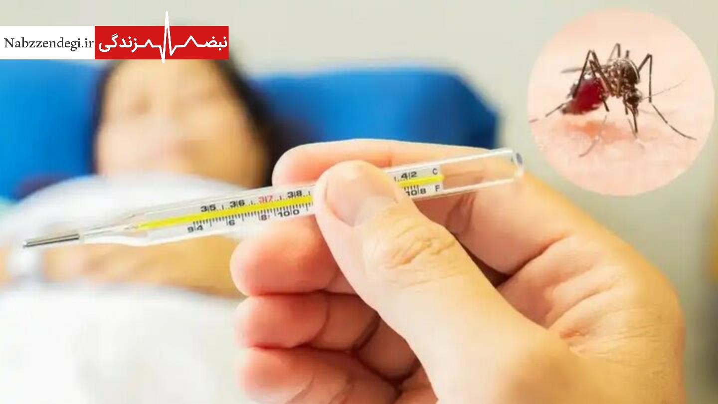 تب کریمه کنگو