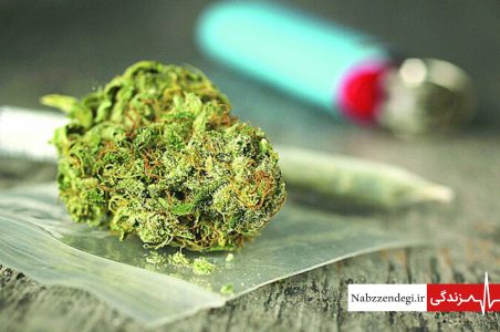 بسیاری از جوانان به اشتباه تصور میکنند که مصرف ماده مخدر گل (ماری جوانا) بدون عوارض جدی است و منجر به اعتیاد نمیشود.